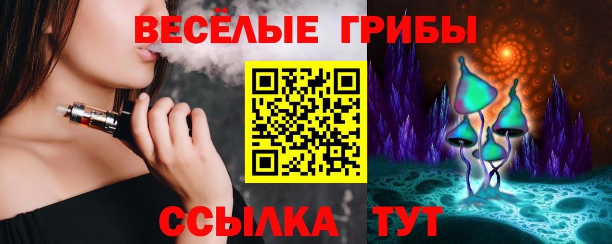 Чайковский  Псилоцибиновые грибы Magic Shrooms  Псилоцибиновые грибы прущие грибы  Вход с VPN 